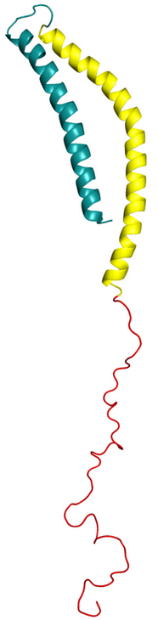 alpha-synucleide.png